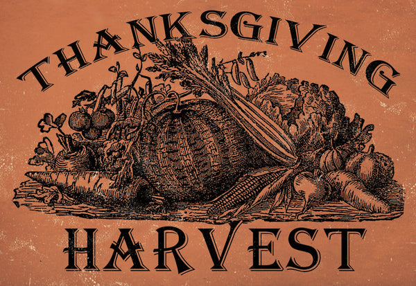 Thanksgiving Harvest - 2613