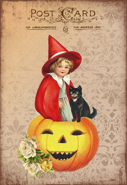 Witch Pumpkin - 2724