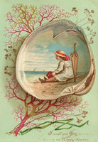 Coral And Shell - 2862