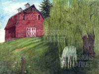 Weeping Willow - 3537