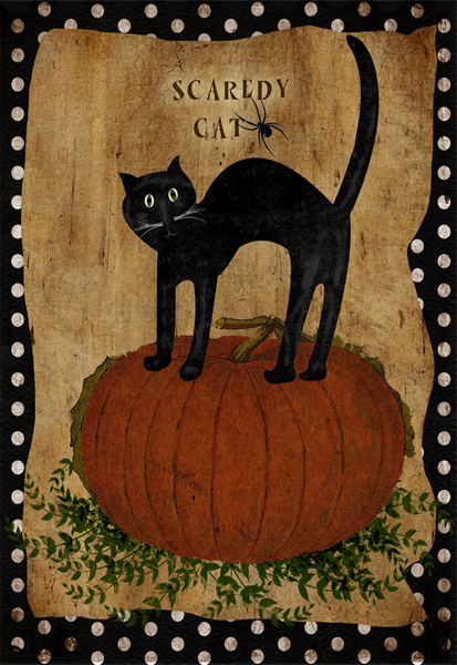 Scaredy Cat - 4437