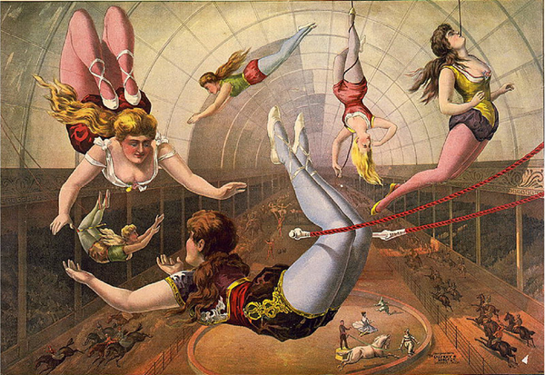 Trapeze Act - 4596