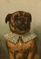 Toby - 4803