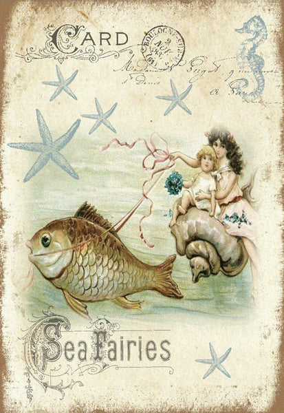 Seashore Nymphs - 4837
