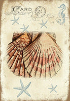 Seashore Shells - 4840