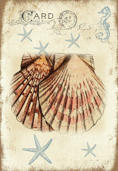 Seashore Shells - 4840