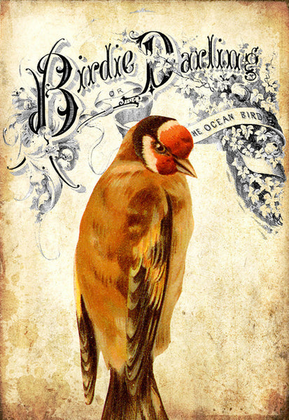 Birdie Darling Finch - 5194