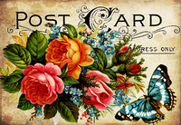 Butterfly In Roses - 5418