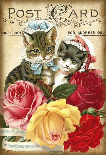 Kitten Caps - 5475