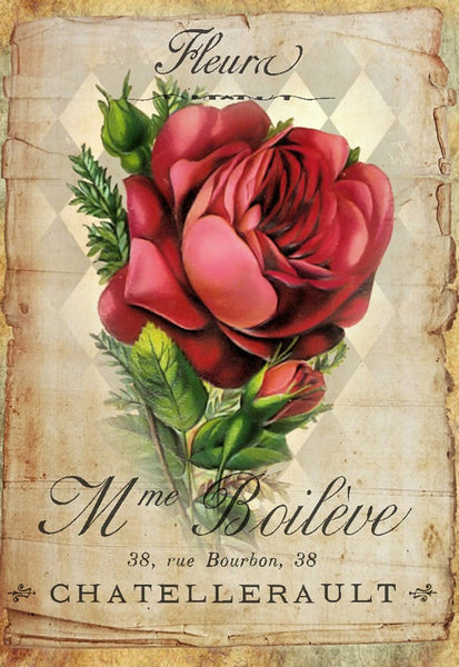 Victorian Rose Three - 5509