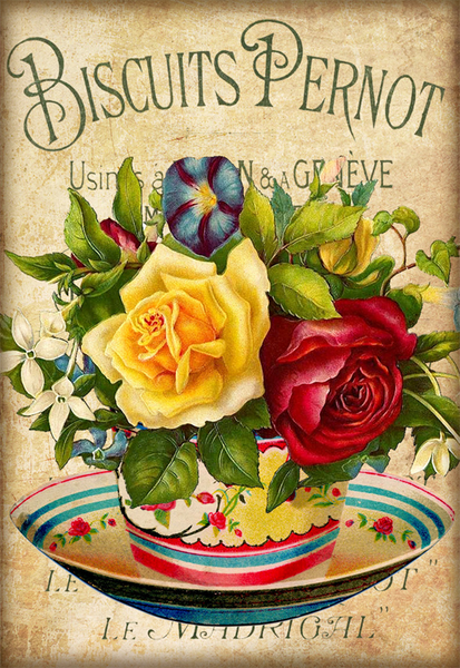 Teacup Rose 3 - 5551
