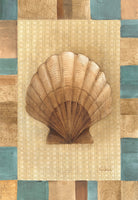 Scallop Shell - 6371