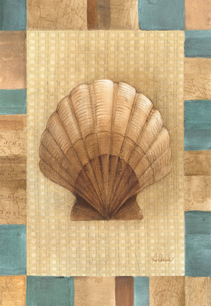 Scallop Shell - 6371