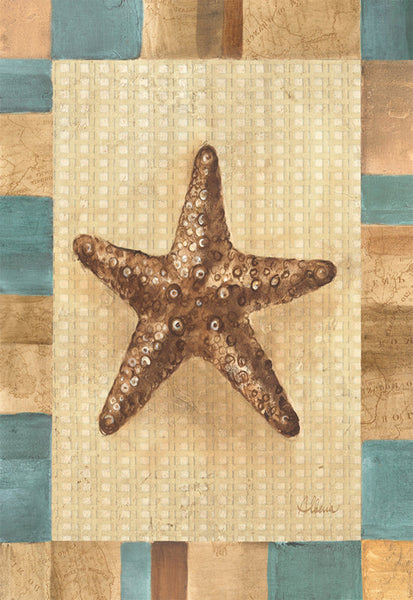 Starfish - 6372