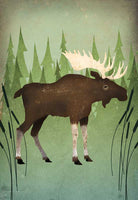 Moose In Reeds - 6392