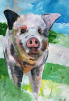 Pig - 7526