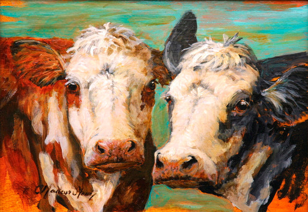 Cows - 7538