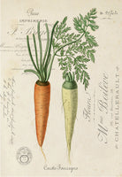 Carrots - 7598
