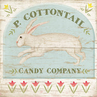 Cottontail Candy - 7616Q