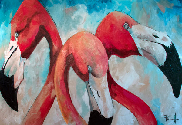 Flamingoes - 7710